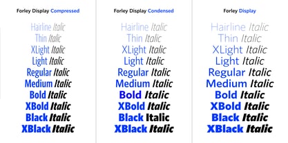 Forley Display Font Poster 2